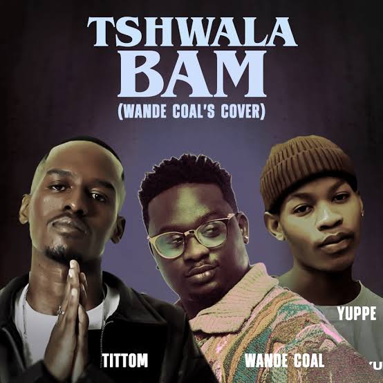 Tshwala Bam (Remix)