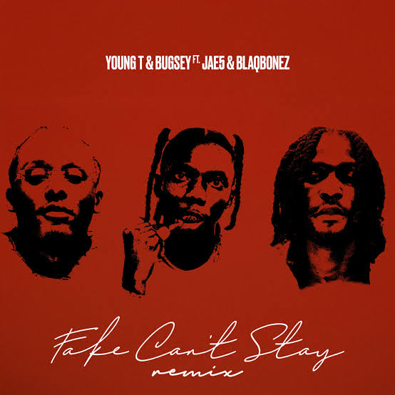 Fake Can't Stay (Remix)