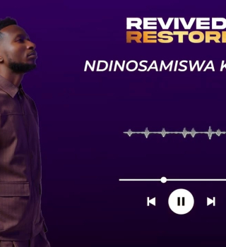 Ndinoshamiswa kwazvo