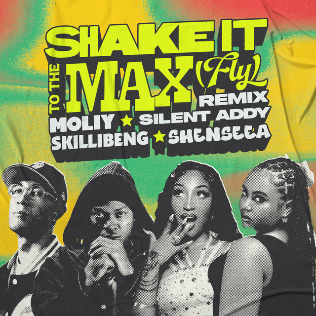 Shake It To The Max (Remix)