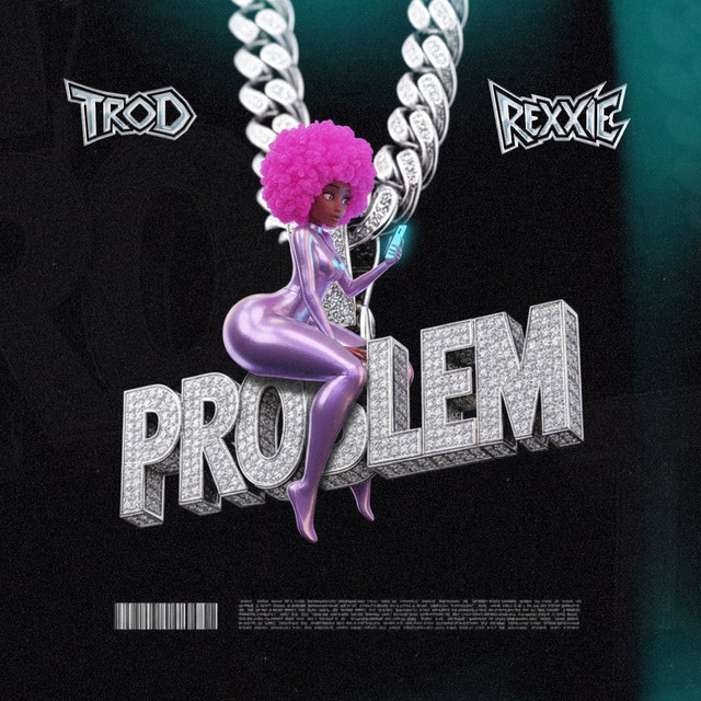 Problem